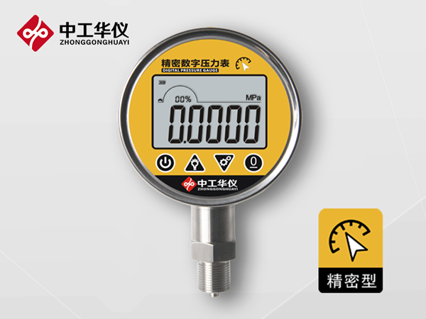 HD-100G精密数字压力表